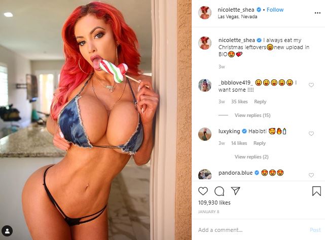 Nicolette Shea #0objk0NY