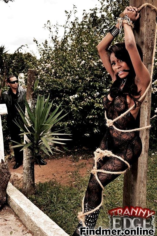 Cutting Edge Shemales System! Tranny Tied To a Tree! #0K5cn8qu
