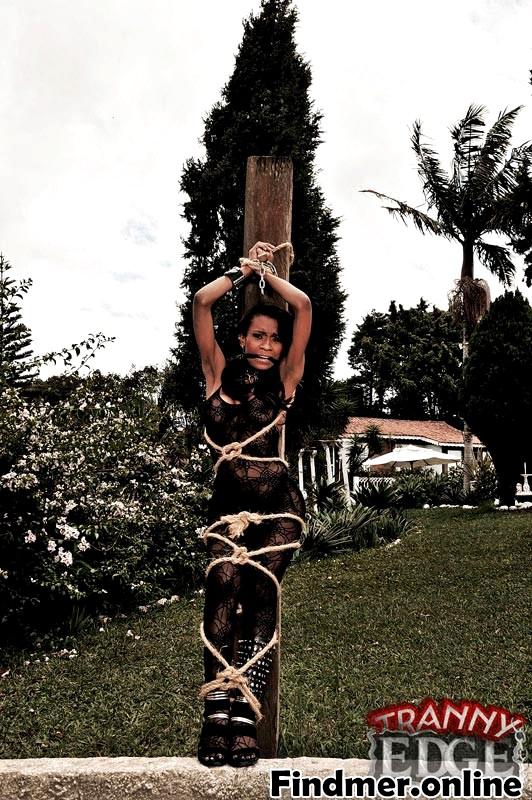 Cutting Edge Shemales System! Tranny Tied To a Tree! #Wb3LwPTf