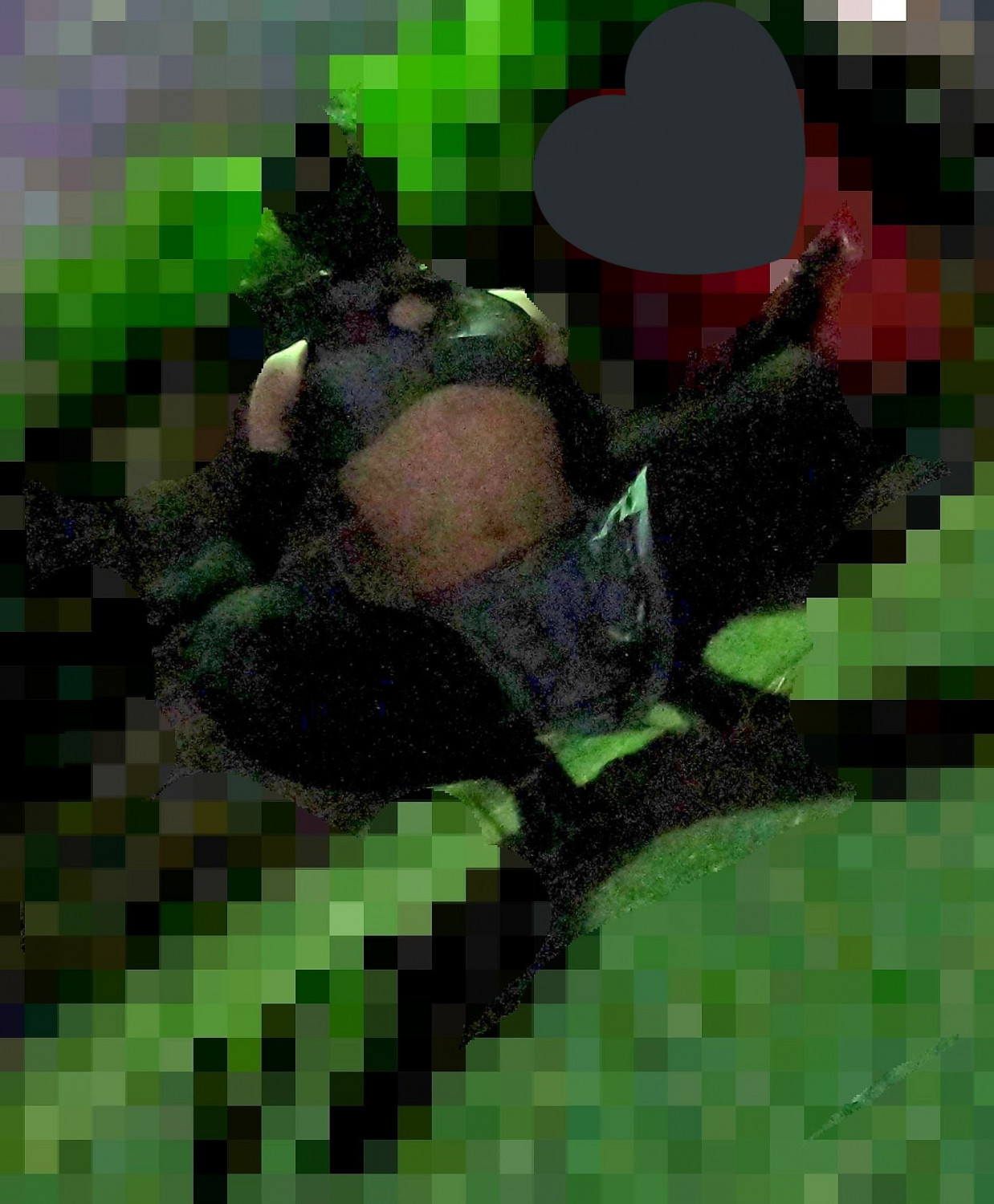 hhh_0505 #DPe1EL0a