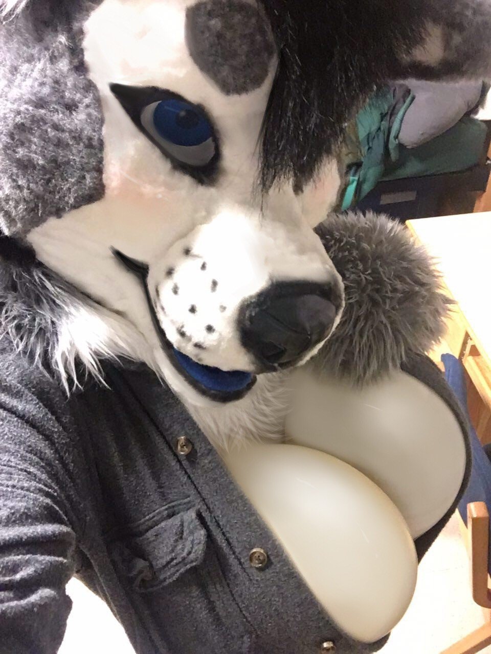 Furry and Anthro #zrZFt6HT